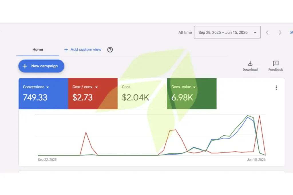 Google Ads Capmapin result E-commerce