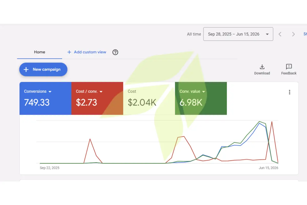 Google Ads Capmapin result E-commerce